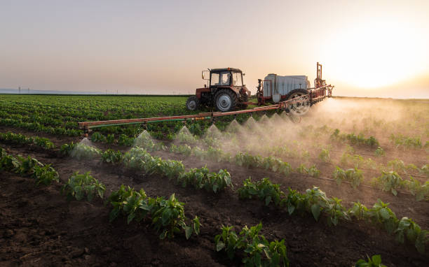 Best Best Pest Control Companies  in Tsaile, AZ