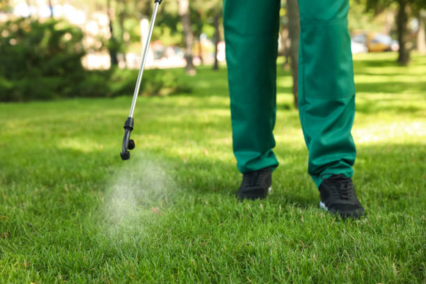Best Local Pest Control Services  in Tsaile, AZ