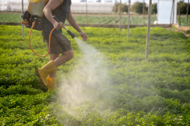 Pest Control Cost in Tsaile, AZ