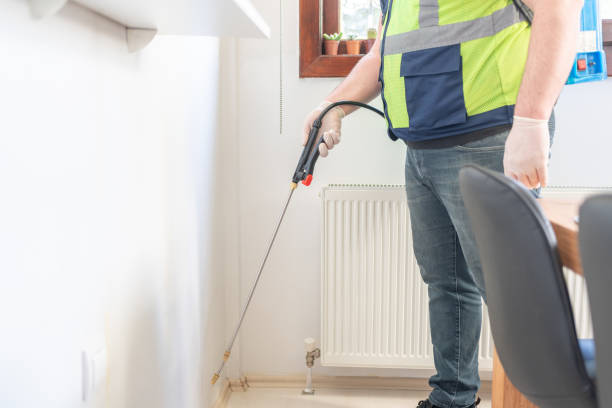 Best Mosquito Control Services  in Tsaile, AZ