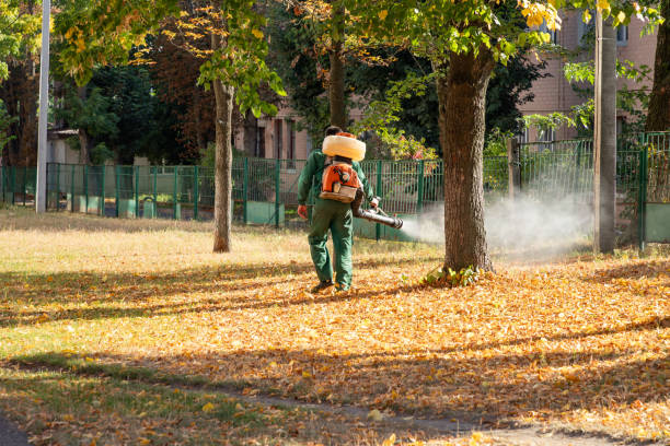 Professional Pest Control in Tsaile, AZ
